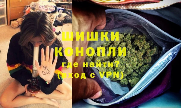 PSILOCYBIN Переславль-Залесский