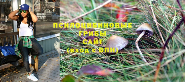 бошки Покровск