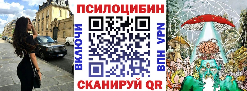 Псилоцибиновые грибы Cubensis Купить Шиханы